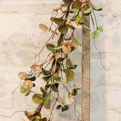 Antique Eucalyptus