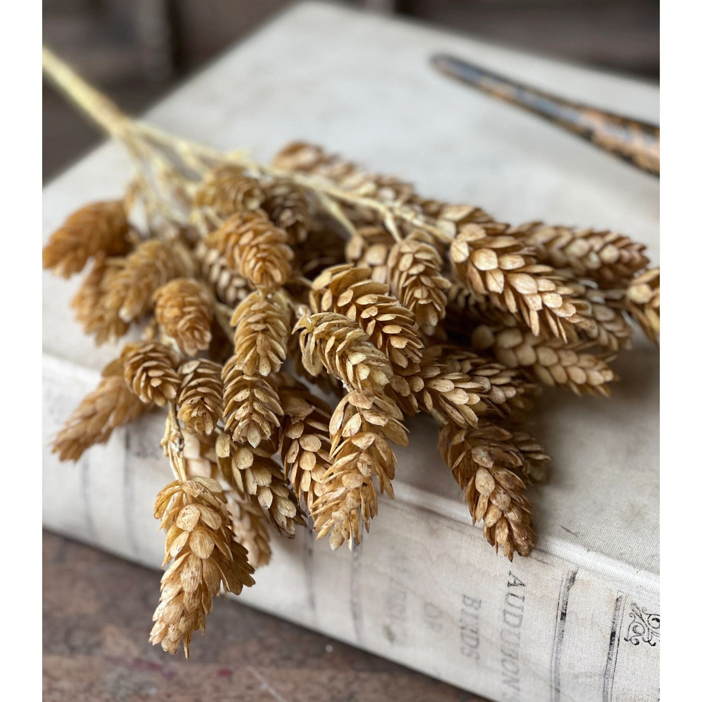 faux wheat hops bush on white book