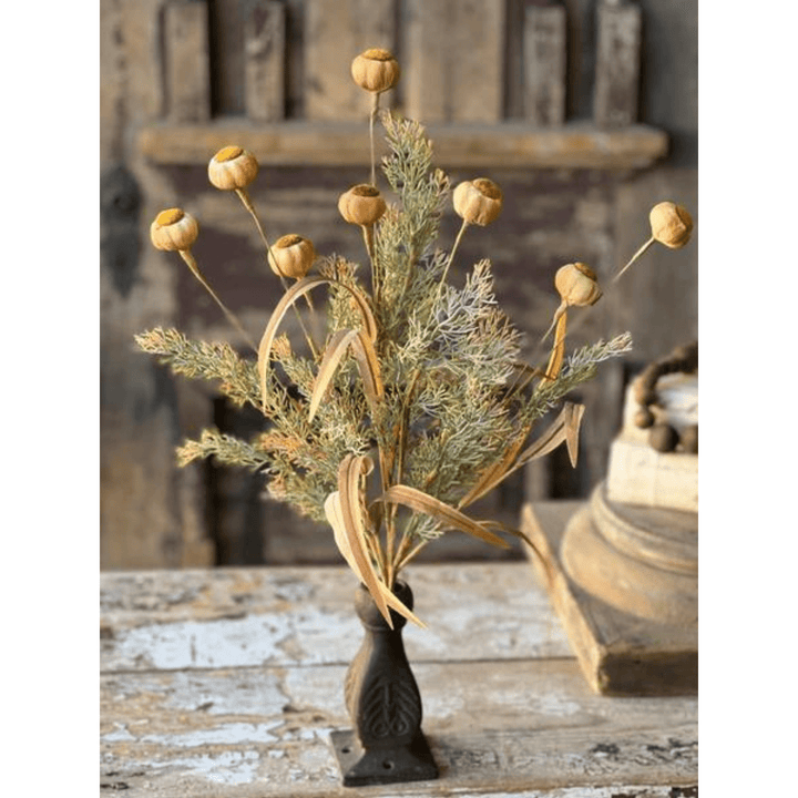 Lancaster and Vintage Poppy Pod Bush 22